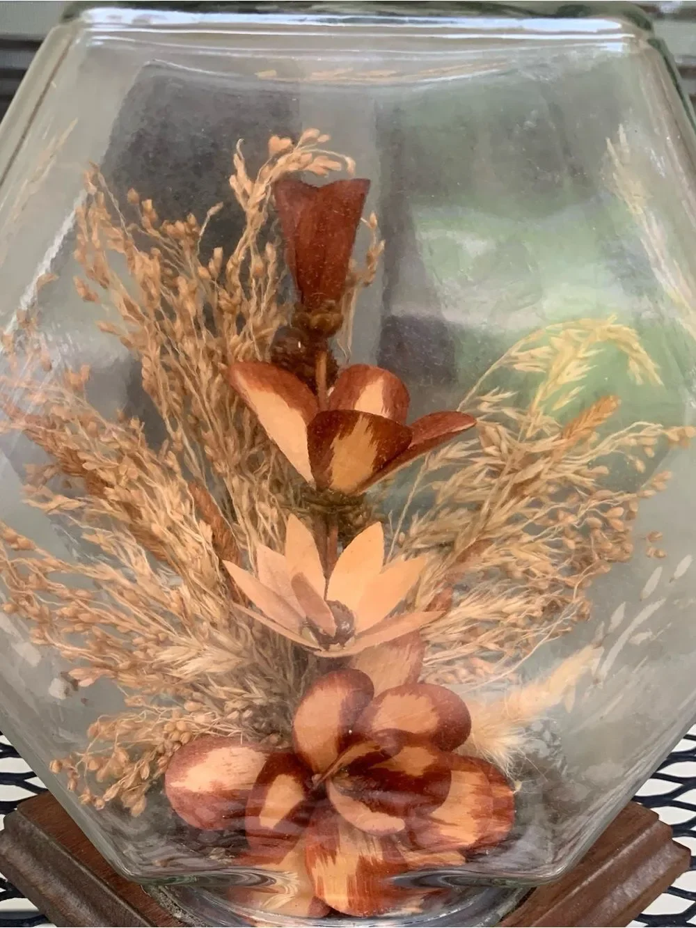 Vintage MCM Dried Botanical Terrarium Display